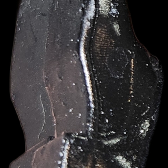 Distinctive Dummies Custom Limited Ed. Reverand Lowe figure from Silver Bullet - Picture 7 of 9